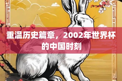 重温历史篇章，2002年世界杯的中国时刻
