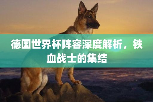 德国世界杯阵容深度解析，铁血战士的集结