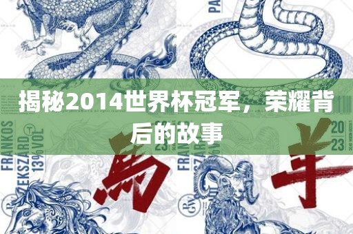 揭秘2014世界杯冠军，荣耀背后的故事