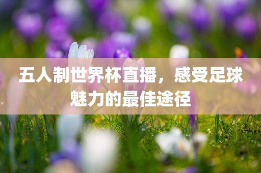 五人制世界杯直播，感受足球魅力的最佳途径