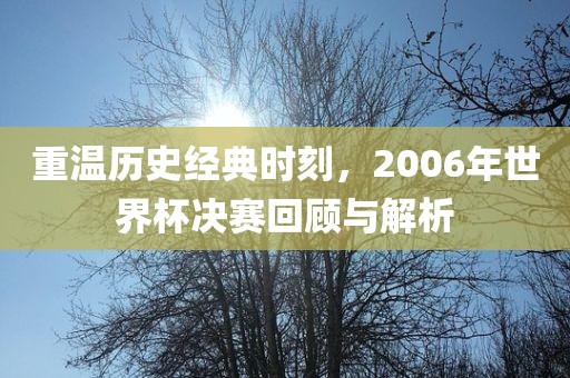 重温历史经典时刻，2006年世界杯决赛回顾与解析