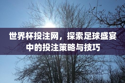 世界杯投注网，探索足球盛宴中的投注策略与技巧