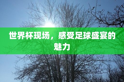 世界杯现场，感受足球盛宴的魅力