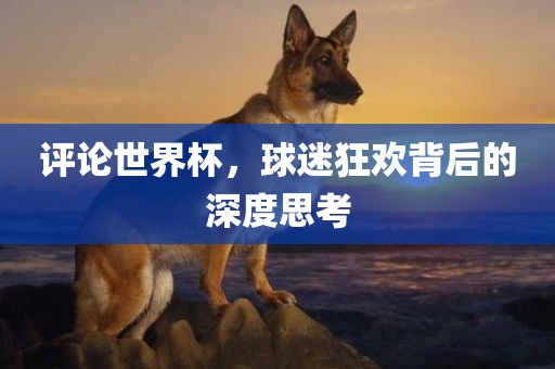评论世界杯，球迷狂欢背后的深度思考