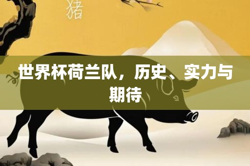 世界杯荷兰队，历史、实力与期待