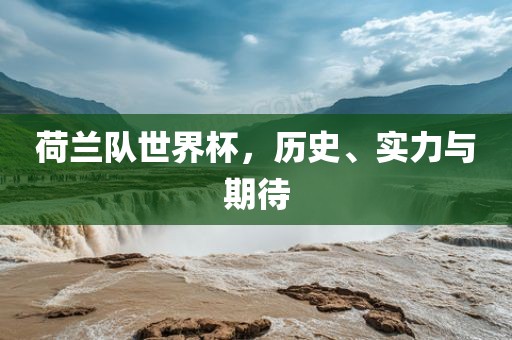 荷兰队世界杯，历史、实力与期待