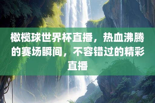 橄榄球世界杯直播，热血沸腾的赛场瞬间，不容错过的精彩直播
