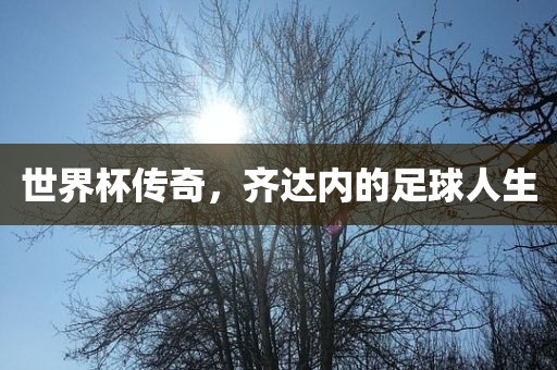 世界杯传奇，齐达内的足球人生