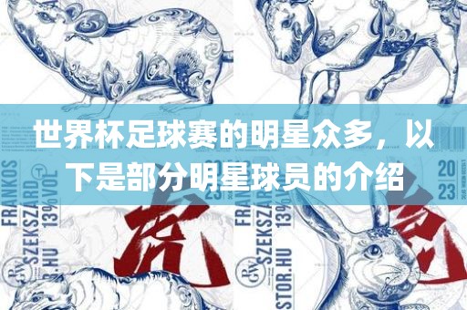 世界杯足球赛的明星众多，以下是部分明星球员的介绍
