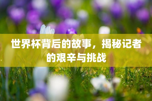 世界杯背后的故事，揭秘记者的艰辛与挑战