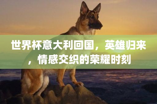 世界杯意大利回国，英雄归来，情感交织的荣耀时刻
