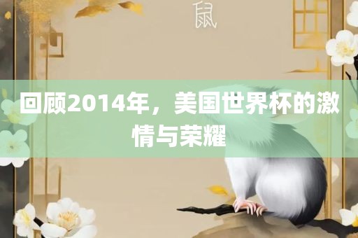 回顾2014年，美国世界杯的激情与荣耀