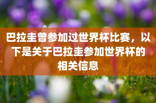 巴拉圭曾参加过世界杯比赛，以下是关于巴拉圭参加世界杯的相关信息