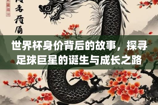 世界杯身价背后的故事，探寻足球巨星的诞生与成长之路