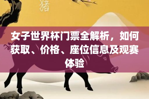 女子世界杯门票全解析，如何获取、价格、座位信息及观赛体验