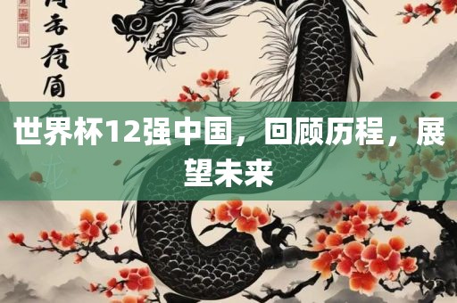世界杯12强中国，回顾历程，展望未来