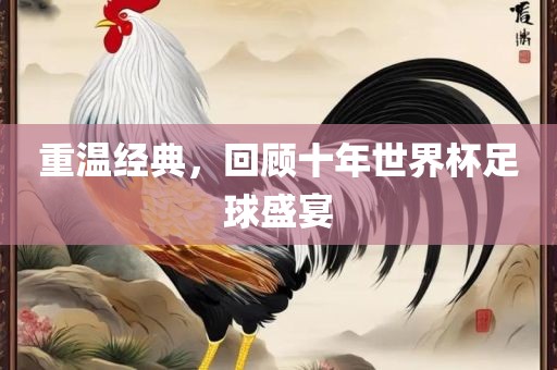 重温经典，回顾十年世界杯足球盛宴