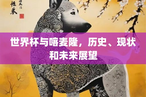 世界杯与喀麦隆，历史、现状和未来展望