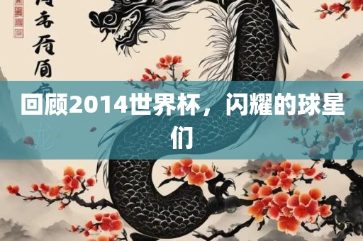 回顾2014世界杯，闪耀的球星们