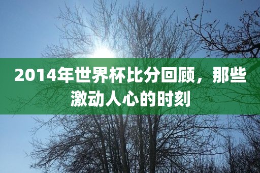 2014年世界杯比分回顾，那些激动人心的时刻