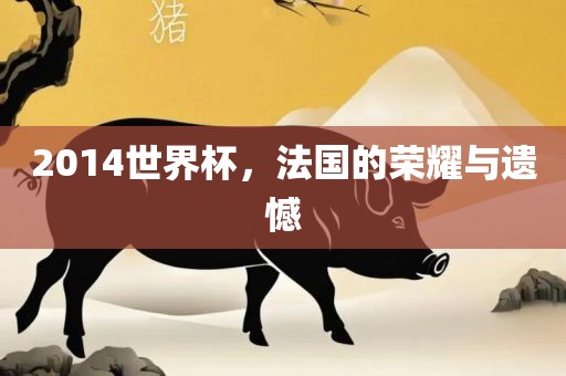 2014世界杯，法国的荣耀与遗憾