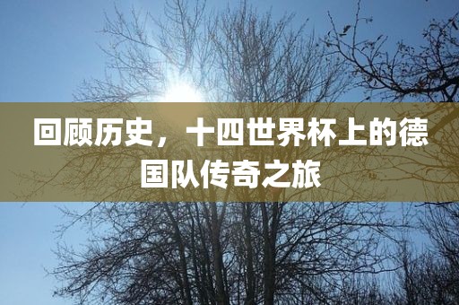 回顾历史，十四世界杯上的德国队传奇之旅