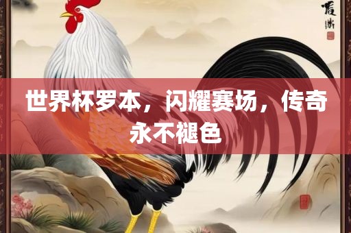 世界杯罗本，闪耀赛场，传奇永不褪色