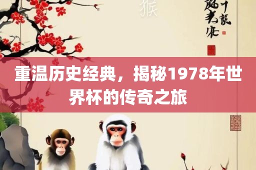 重温历史经典，揭秘1978年世界杯的传奇之旅