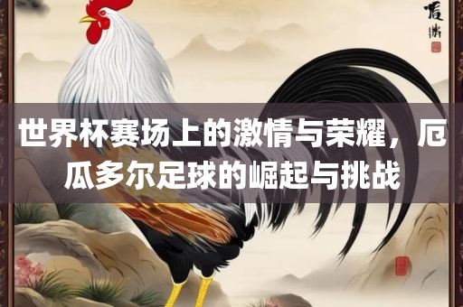 世界杯赛场上的激情与荣耀，厄瓜多尔足球的崛起与挑战