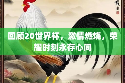 回顾20世界杯，激情燃烧，荣耀时刻永存心间漯河市盈旭机械设备有限公司