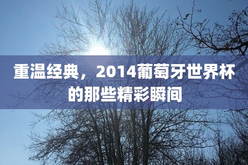 重温经典，2014葡萄牙世界杯的那些精彩瞬间