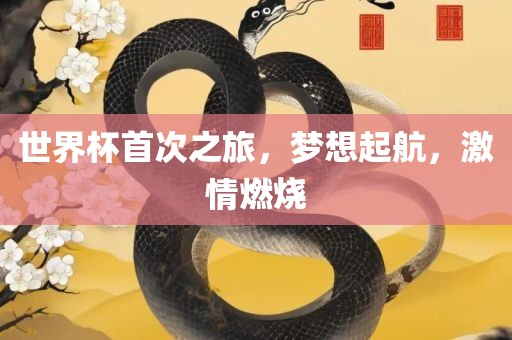 世界杯首次之旅，梦想起航，激情燃烧