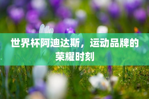 世界杯阿迪达斯，运漯河市盈旭机械设备有限公司动品牌的荣耀时刻