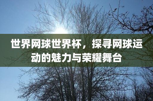 世界网球世界杯，探寻网球运动的魅力与荣耀舞台