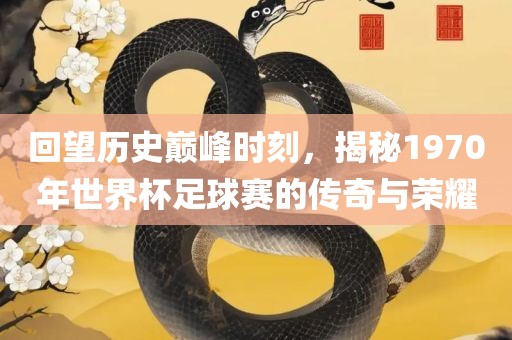 回望历史巅峰时刻，揭秘1970年世界杯足球赛的传奇与荣耀