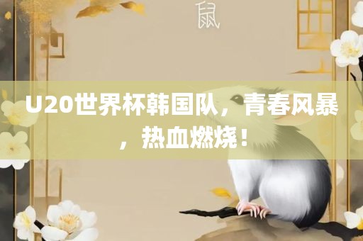 U20世界杯韩国队，青春风暴，热血燃烧！