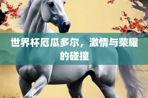 世界杯厄瓜多尔，激情与荣耀的碰撞