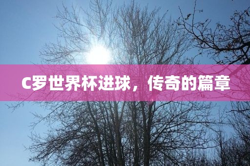 C罗世界杯进球，传奇的篇章