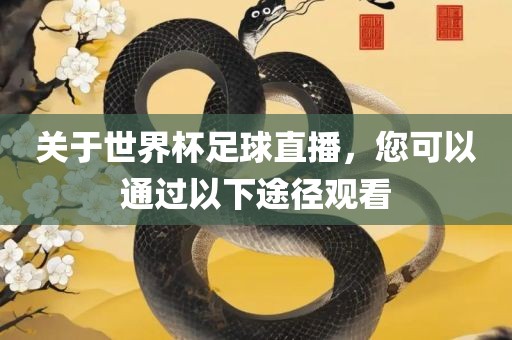 关于世界杯足球直播，您可以通过以下途径观看