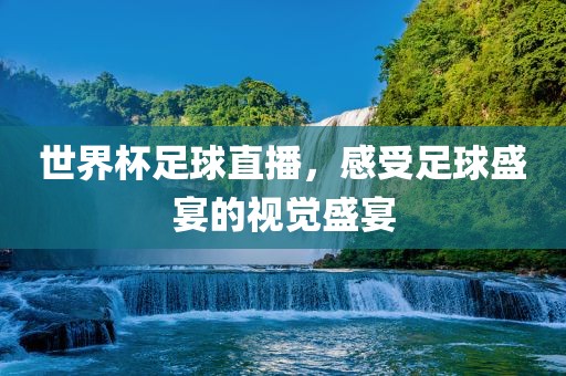 世界杯足球直播，感受足球盛宴的视觉盛宴