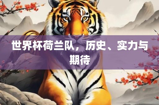 世界杯荷兰队，历史、实力与期待