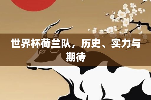 世界杯荷兰队，历史、实力与期待