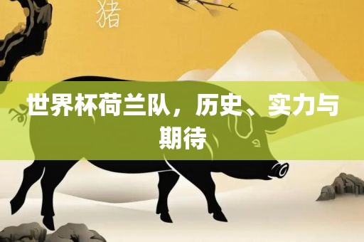世界杯荷兰队，历史、实力与期待
