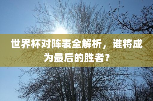 世界杯对阵表全解析，谁将成为最后的胜者？