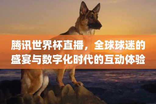 腾讯世界杯直播，全球球迷的盛宴与数字化时代的互动体验