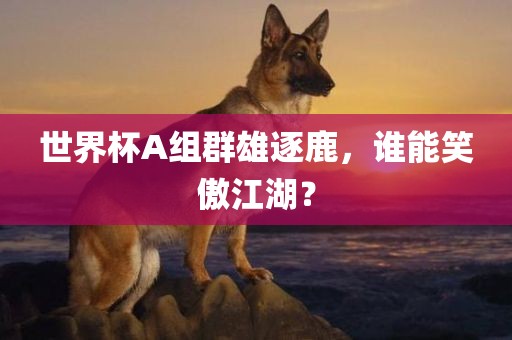 世界杯A组群雄逐鹿，谁能笑傲江湖？