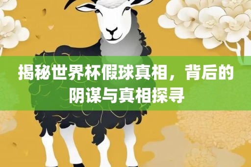 揭秘世界杯假球真相，背后的阴谋与真相探寻