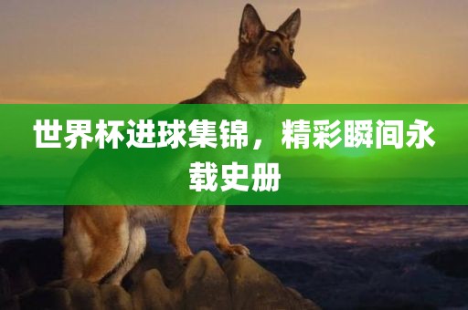 世界杯进球集锦，精彩瞬间永载史册漯河市盈旭机械设备有限公司