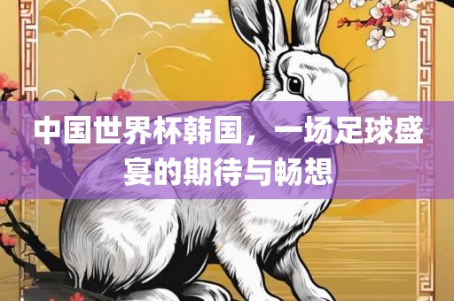 中国世界杯韩国，一场足球盛宴的期待与畅想
