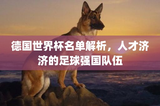 德国世界杯名单解析，人才济济的足球强国队伍